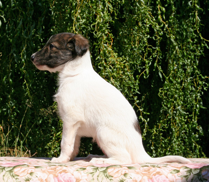 Surf Spots - Girl 1 Sit